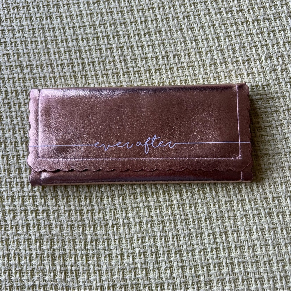 EUC jewelry travel case